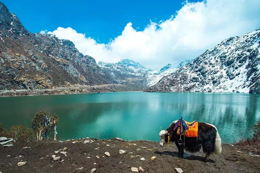 Gangtok and Darjeeling 4N/5D